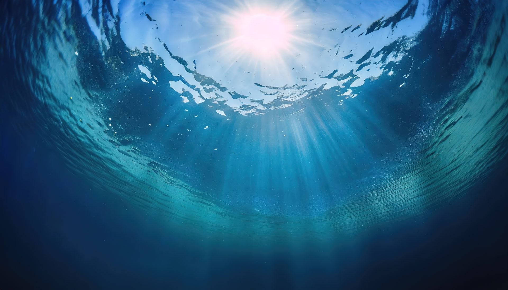 Unterwasser – Blick zur Oberfläche