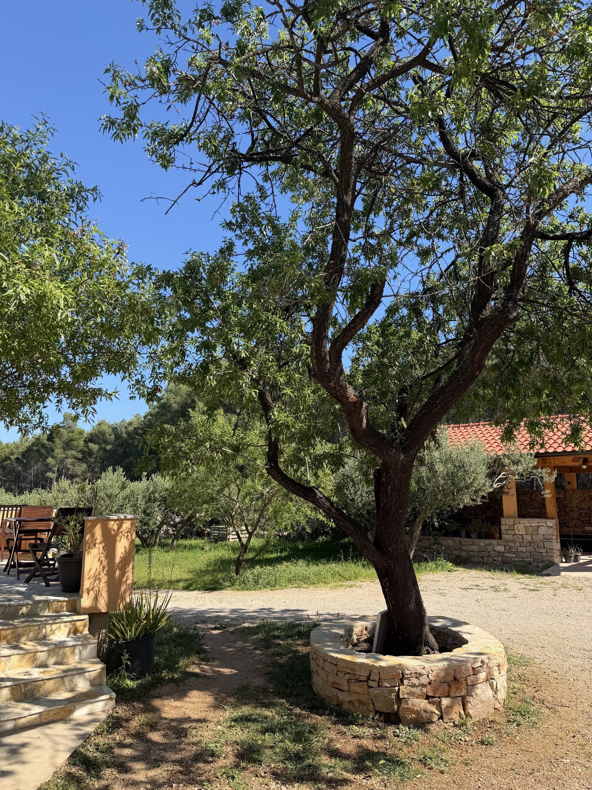 Hvar – Garten und Brunnen